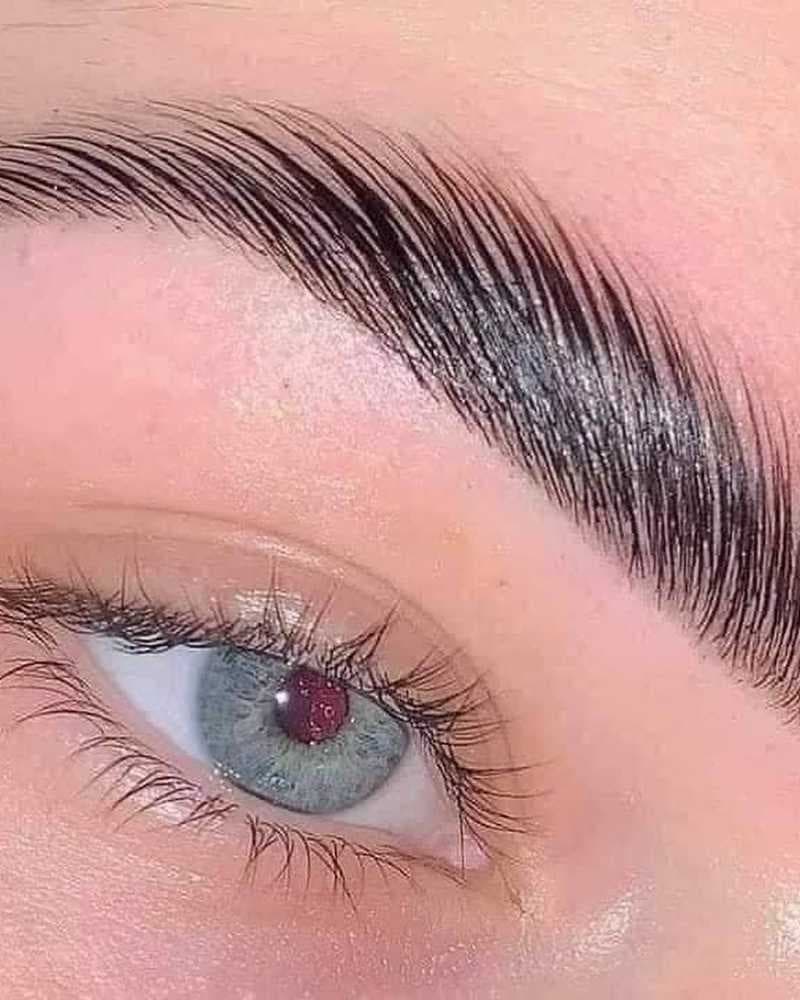 جل اية الفايد